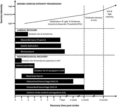 Aerobic Training and Mobilization Early Post-stroke: Cautions and Considerations